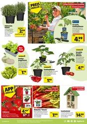 Aktueller Hagebaumarkt Prospekt mit Erdbeeren, "LASS DEN SÜDEN BEI DIR EINZIEHEN", Seite 7