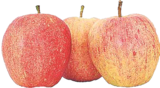V-Markt Buchloe - Äpfel Angebot im Prospekt Äpfel bei V-Markt im Buchloe Prospekt für 2,49 €