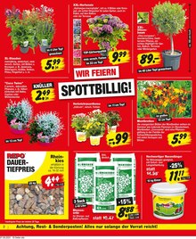 Repo Prospekt der KW 24 "Aktuelle Angebote" Aktueller Repo Prospekt "Aktuelle Angebote" Seite 2 von 16 Seiten