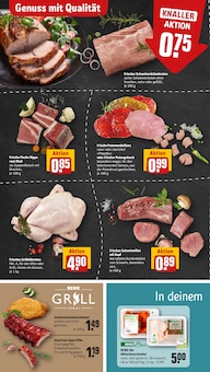 Schweinefilet im REWE Prospekt "Dein Markt" mit 35 Seiten (Solingen (Klingenstadt))