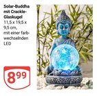 Angebot im GLOBUS Siegen (Universitätsstadt) Prospekt GLOBUS Siegen (Universitätsstadt) Prospekt mit im Angebot für 8,99 €