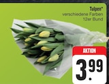 Aktuelles Tulpen Angebot bei E center in Würzburg ab 3,99 €