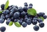 E center Coesfeld - Heidelbeeren Angebot im Prospekt Heidelbeeren bei E center im Coesfeld Prospekt für 4,44 €