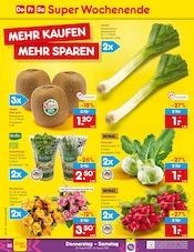 Ähnliche Sauerkraut Angebote im Prospekt "Aktuelle Angebote" von Netto Marken-Discount in Hürth Ähnliche Angebote wie Sauerkraut im Prospekt "Aktuelle Angebote" auf Seite 50 von Netto Marken-Discount in Hürth