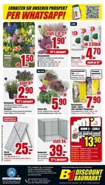 Aktueller B1 Discount Baumarkt Prospekt mit Tulpen, "BESTPREISE DER WOCHE!", Seite 10