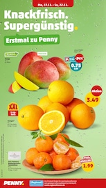 Mango im Penny Prospekt in Frankenthal Aktueller Penny Prospekt mit Mango, "Wer günstig will, muss Penny.", Seite 4