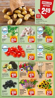 Blumen im REWE Prospekt "Dein Markt" mit 26 Seiten (Nürnberg)