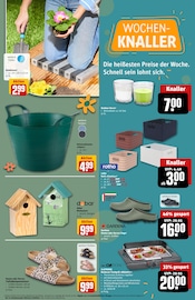 Aktueller REWE Prospekt mit Gartendeko, "Dein Markt", Seite 31