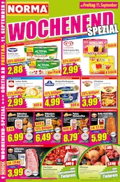 Navi Angebot im aktuellen Norma Prospekt auf Seite 14