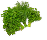 Aktuelles Ital./span. Kräuter XXL Angebot bei Kaufland in Düsseldorf ab 1,49 €