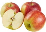 Apfel im REWE Prospekt Rote Tafeläpfel von REWE Regional im aktuellen REWE Prospekt für 1,79 €