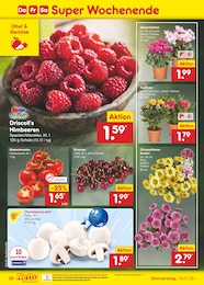 Alpenveilchen Angebot im aktuellen Netto Marken-Discount Prospekt auf Seite 44