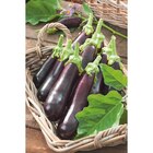 Aubergine en promo chez Carrefour Market Aubergine dans le catalogue Carrefour Market