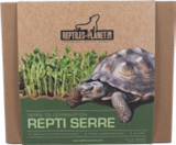 Serre de germination + graines ReptiSeed - Reptiles Planet - Animalis Serre de germination + graines ReptiSeed - Reptiles Planet à 24,99 € dans le catalogue Animalis