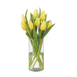 Tulpen