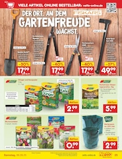 Blumenzwiebeln im Netto Marken-Discount Prospekt in Plauen Aktueller Netto Marken-Discount Prospekt mit Blumenzwiebeln, "Aktuelle Angebote", Seite 35