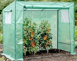Tomatengewächshaus bei Thomas Philipps im Passau Prospekt für 1,29 €