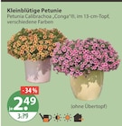 Kleinblütige Petunie im aktuellen V-Markt Prospekt für 2,49 €