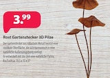 Rost Gartenstecker 3D Pilze im Angebot bei Kiebitzmarkt in Buchholz Rost Gartenstecker 3D Pilze Angebote bei Kiebitzmarkt Buchholz für 3,99 €