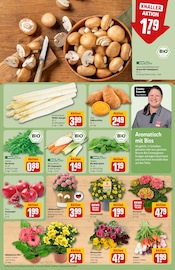 Spargel im REWE Prospekt in Emden Aktueller REWE Prospekt mit Spargel, "Dein Markt", Seite 7