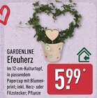 Efeuherz von Gardenline im aktuellen ALDI Nord Prospekt