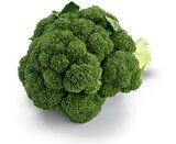 Aktuelle Gemüse Angebote bei Netto Marken-Discount in Oldenburg Aktuelles Broccoli Angebot bei Netto Marken-Discount in Oldenburg ab 0,99 €