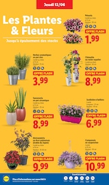 Prospectus Lidl "Fan de l'été" en cours à Rouen, Page 28 Catalogue Lidl en cours à Rouen, "Fan de l'été", Page 28