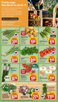 Avocado Angebot im aktuellen REWE Prospekt auf Seite 11