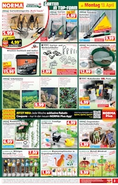 Aktueller Norma Prospekt mit Gartendeko, "Mehr fürs Geld", Seite 3