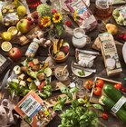 Apfelchips Angebote von REWE Bio bei REWE Nordhorn