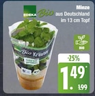 Minze Angebote von Edeka bei EDEKA Hamburg für 1,49 €