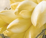 Intermarché Saint-Germain - Promo Endive Promo Endive à 1,89 € dans le catalogue Intermarché à Saint-Germain