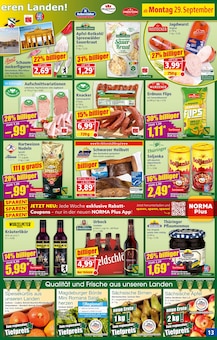 Pizzateig Angebot im aktuellen Norma Prospekt auf Seite 14