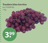 Trauben blau kernlos von  im aktuellen V-Markt Prospekt für 3,99 €