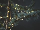 ANTIGORIT Outdoor-Lichterkette im aktuellen JYSK Prospekt