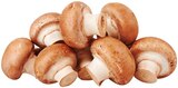 Braune Bio Champignons bei REWE im Hallstadt Prospekt für 1,79 €