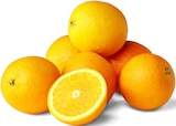 Orangen bei Penny im Prospekt "" für 3,49 €