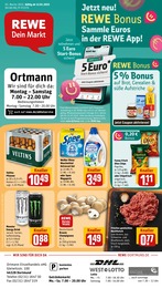 REWE Prospekt "Dein Markt" für Dortmund, 30 Seiten, 13.01.2025 - 18.01.2025