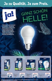 REWE LED Leuchtmittel im Prospekt REWE LED Leuchtmittel im Prospekt