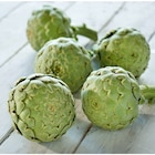 Artichaut - Carrefour Artichaut à 1,49 € dans le catalogue Carrefour