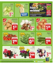 Pilze im EDEKA Prospekt in Regensburg Aktueller EDEKA Prospekt mit Pilze, "Wir lieben Lebensmittel.", Seite 5