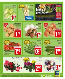 Pflanzen im aktuellen EDEKA Prospekt (Regensburg) Pflanzen im EDEKA Prospekt "Wir lieben Lebensmittel." mit 26 Seiten (Regensburg)