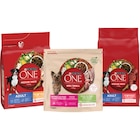 SUR TOUT - PURINA ONE CHIENS - Carrefour Market à Nice SUR TOUT - PURINA ONE CHIENS en promo chez Carrefour Market Nice
