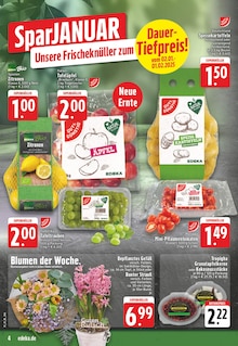 Obst im EDEKA Prospekt "Aktuelle Angebote" mit 24 Seiten (Dortmund)