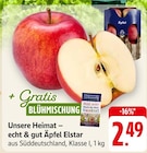 Äpfel Elstar bei E center im Prospekt "" für 2,49 €