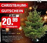 Weihnachtsbaum im Segmüller Prospekt Basic-Baum im aktuellen Segmüller Prospekt für 20,99 €