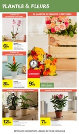 Orchidée en promo dans le catalogue Carrefour Market à la page 52