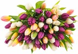 Tulpen bei Penny im Perl Prospekt für 3,99 €