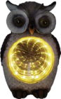LED Solarleuchte 'Frosch' Angebote bei Globus-Baumarkt Neustadt für 12,99 €