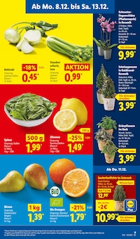 Zimmerpflanzen im aktuellen Lidl Prospekt (Duisburg) Zimmerpflanzen im Lidl Prospekt "LIDL LOHNT SICH" mit 71 Seiten (Duisburg)